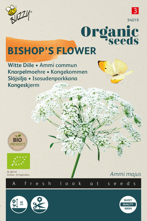 Saatgut-Packung Bischofskraut Ammi majus, Bio-Saatgut, weiße Blüten, Schmetterling, 90 cm