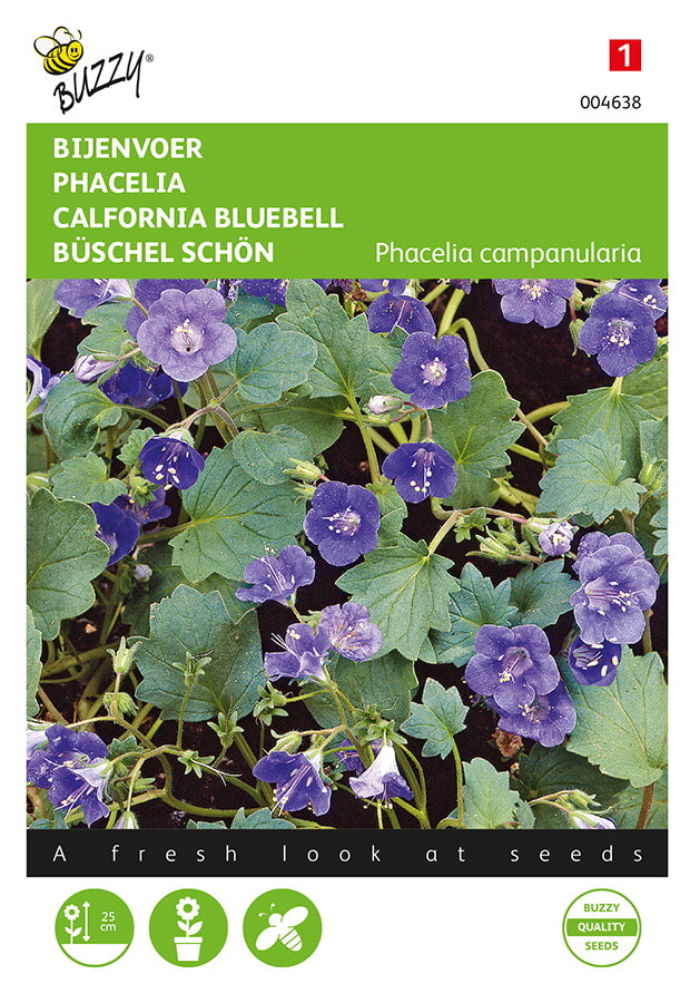 Buzzy Seeds Phacelia Büschel Schön