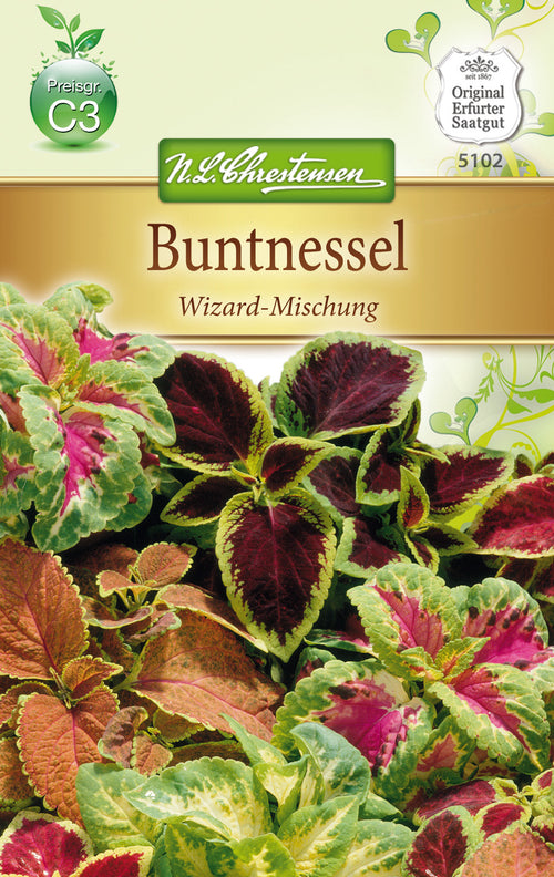 N.L. Chrestensen Coleus Blumei Buntnessel, Wizard Mischung