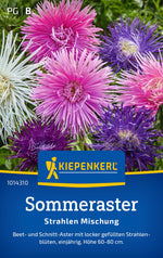 Kiepenkerl Sommeraster Strahlen Mischung