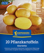 Kiepenkerl Pflanzkartoffel Glorietta 20 Stück
