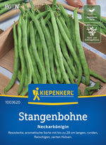 Kiepenkerl Stangenbohnen Neckarkönigin