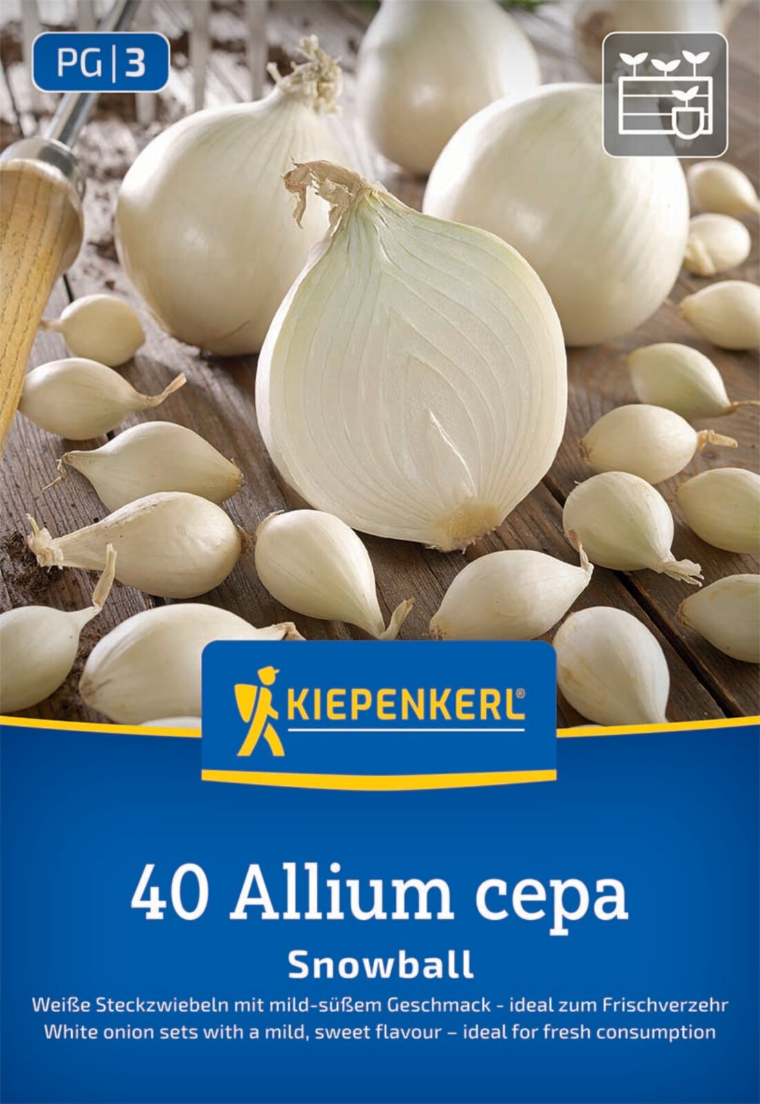 Kiepenkerl Steckzwiebel Snowball 40 Stück