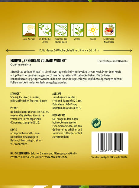 N.L. Chrestensen Endivie Breedblad Volhart Winter
