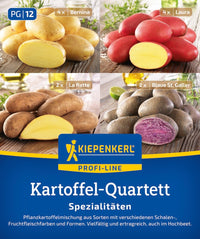 Kiepenkerl Pflanzkartoffel Quartett Spezialitäten 12 Stück