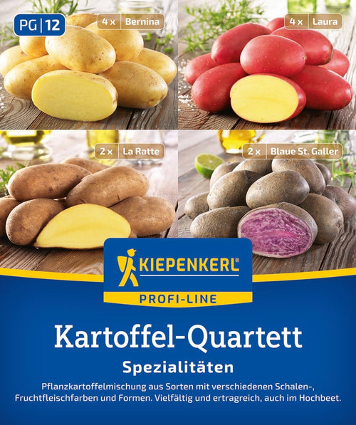 Kiepenkerl Pflanzkartoffel Quartett Spezialitäten 12 Stück
