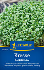 Kiepenkerl Kresse Großblättrige