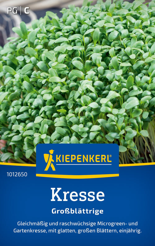 Kiepenkerl Kresse Großblättrige
