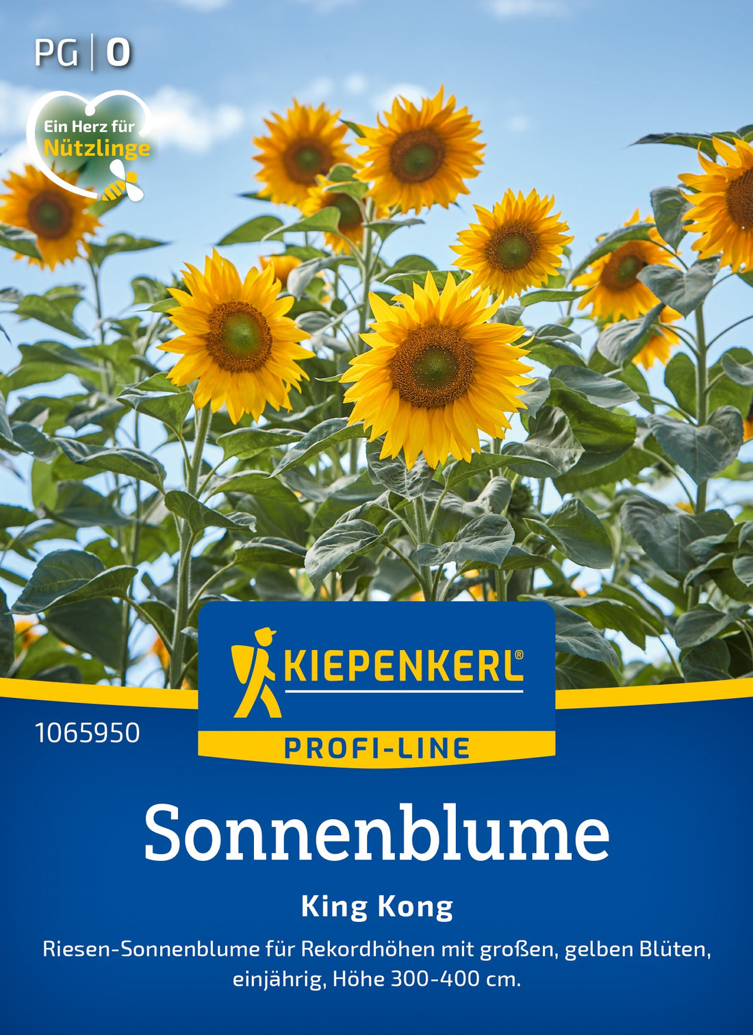 Kiepenkerl Sonnenblumen King Kong