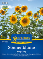 Kiepenkerl Sonnenblumen King Kong