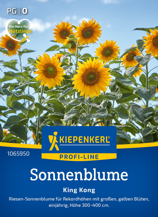 Kiepenkerl Sonnenblumen King Kong
