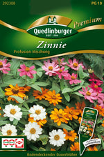 Quedlinburger Zinnie Profusion Mischung