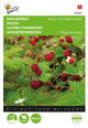 Buzzy Seeds Monatserdbeeren Baron von Solemacher