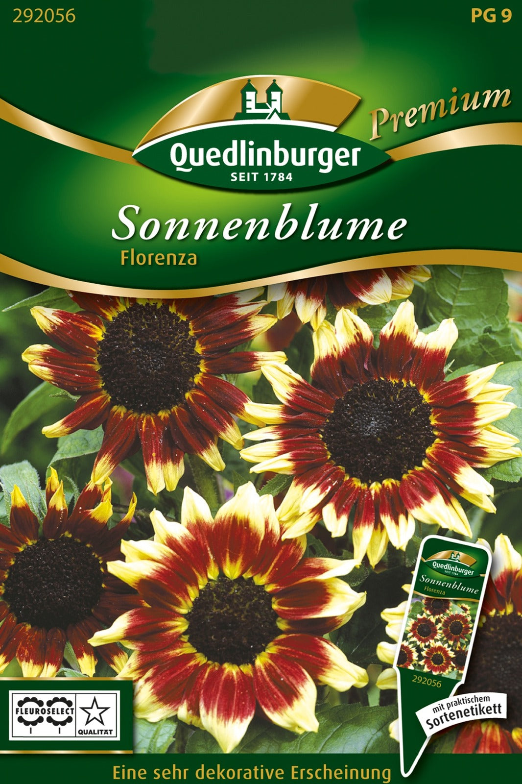 Quedlinburger Sonnenblume Florenza