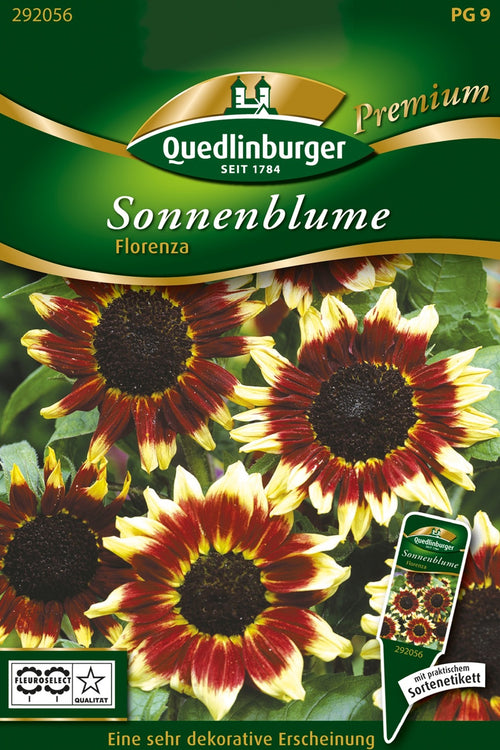 Quedlinburger Sonnenblume Florenza