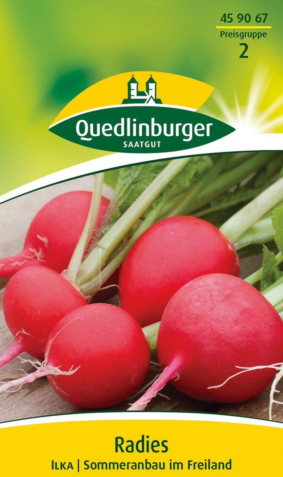 Quedlinburger Radieschen Ilka