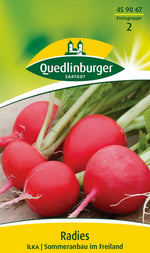 Quedlinburger Radieschen Ilka