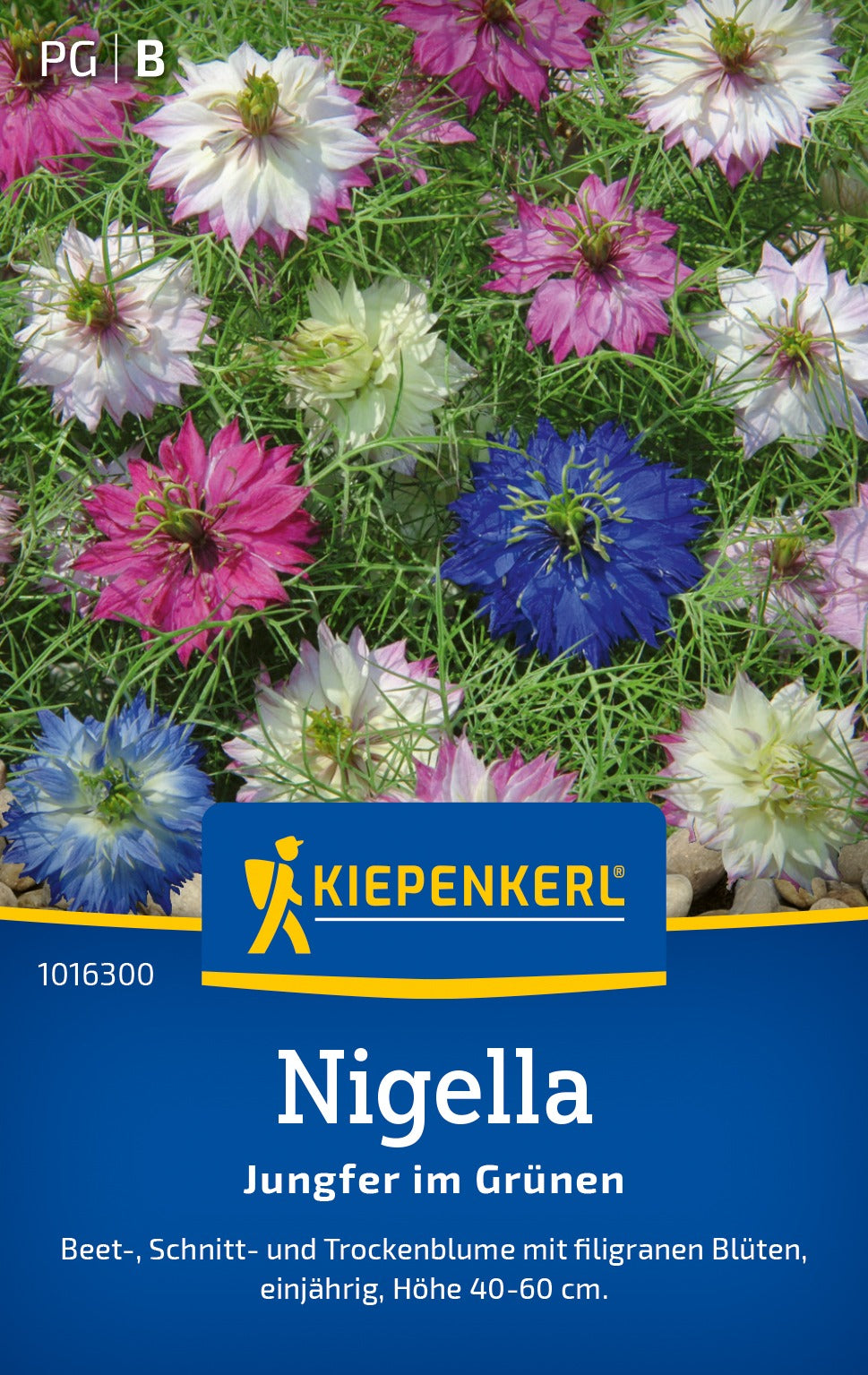 Kiepenkerl Nigella Jungfer im Grünen