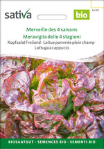 Sativa BIO Kopfsalat Freiland Merveille des 4 saisons