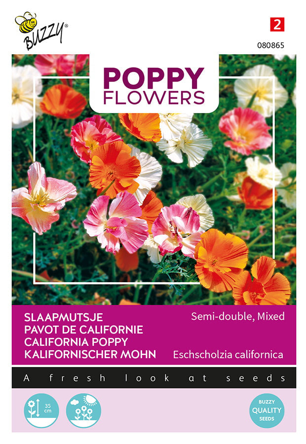 Buzzy Seeds Kalifornischer Mohn