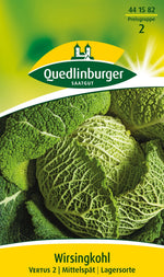 Quedlinburger Wirsingkohl Vertus 2