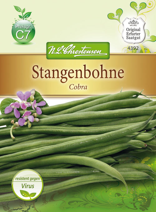 N.L. Chrestensen Stangenbohne Cobra