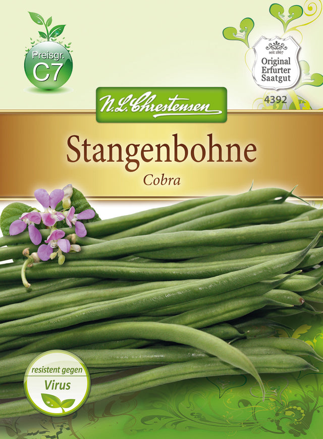 N.L. Chrestensen Stangenbohne Cobra