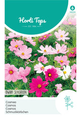 Horti Tops Schmuckkörbchen Dwarf Sensation Mischung