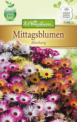 N.L. Chrestensen Mittagsblumen Mischung