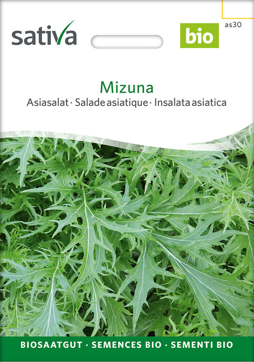 Sativa Asiasalat Mizuna