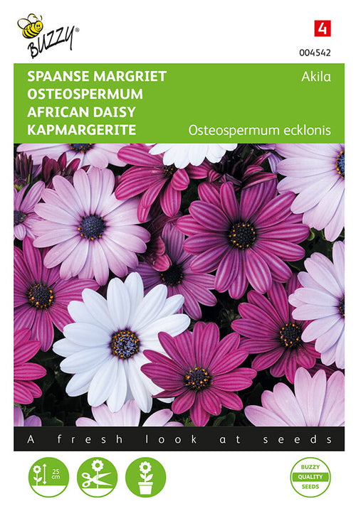 Buzzy Seeds Bornholmmargeriten Kapkörbchen Akila Mischung