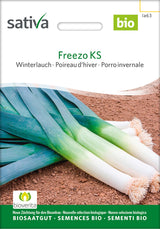 Sativa Winterlauch Freezo KS