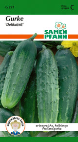 Samen Pfann Gurke Delikateß