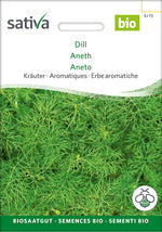 Sativa Dill