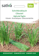 Sativa Schnittknoblauch