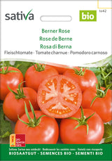 Sativa Fleischtomate Berner Rose