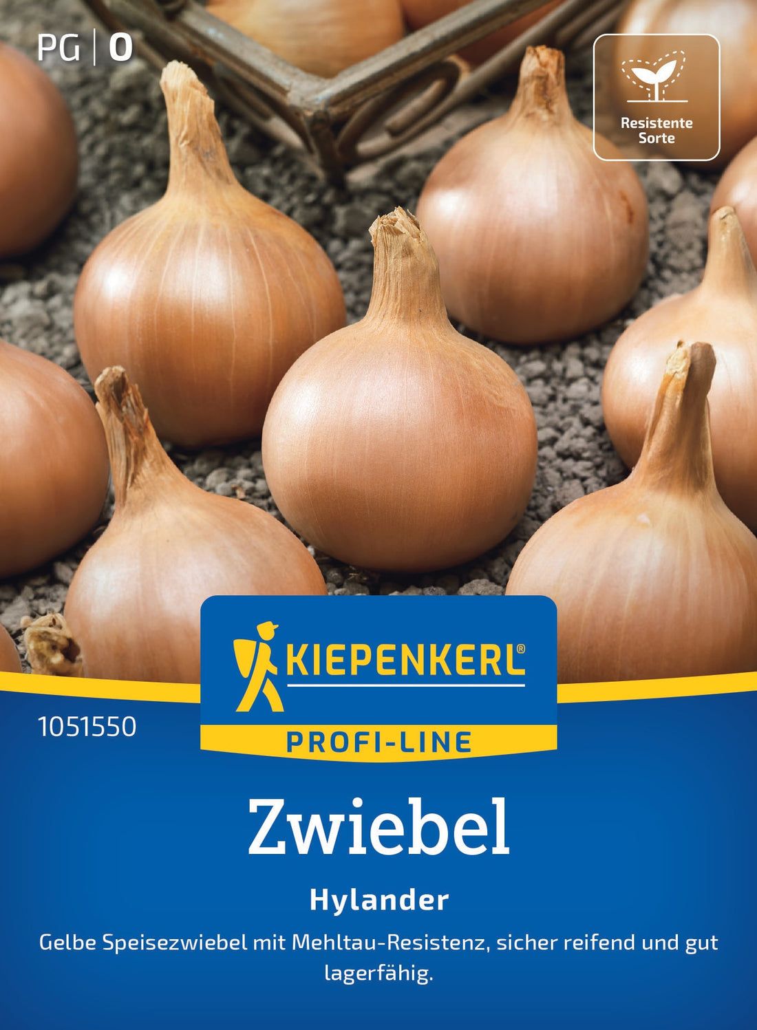 Kiepenkerl Zwiebel Hylander