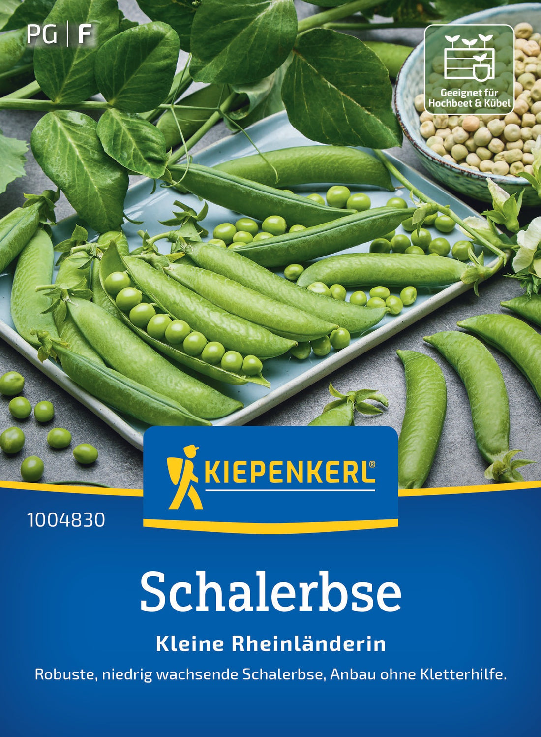 Kiepenkerl Schalerbse Kleine Rheinländerin