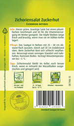 Quedlinburger Zichorensalat Zuckerhut