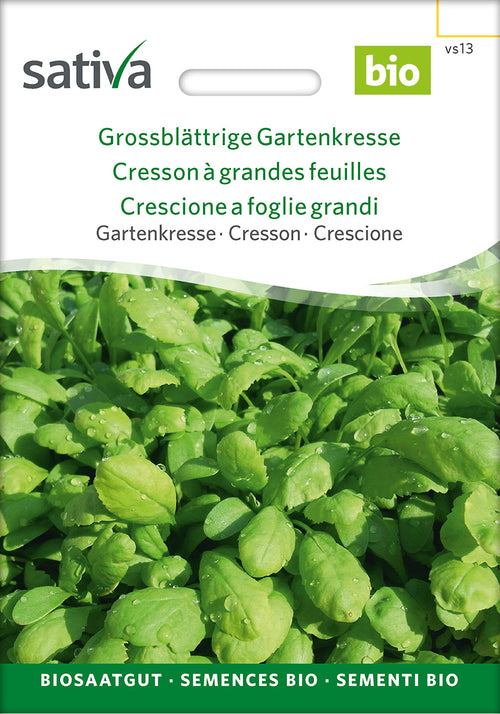 Sativa Gartenkresse Grossblättrige Gartenkresse