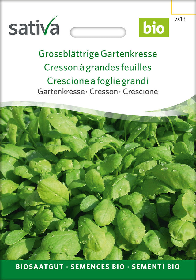 Sativa Gartenkresse Grossblättrige Gartenkresse