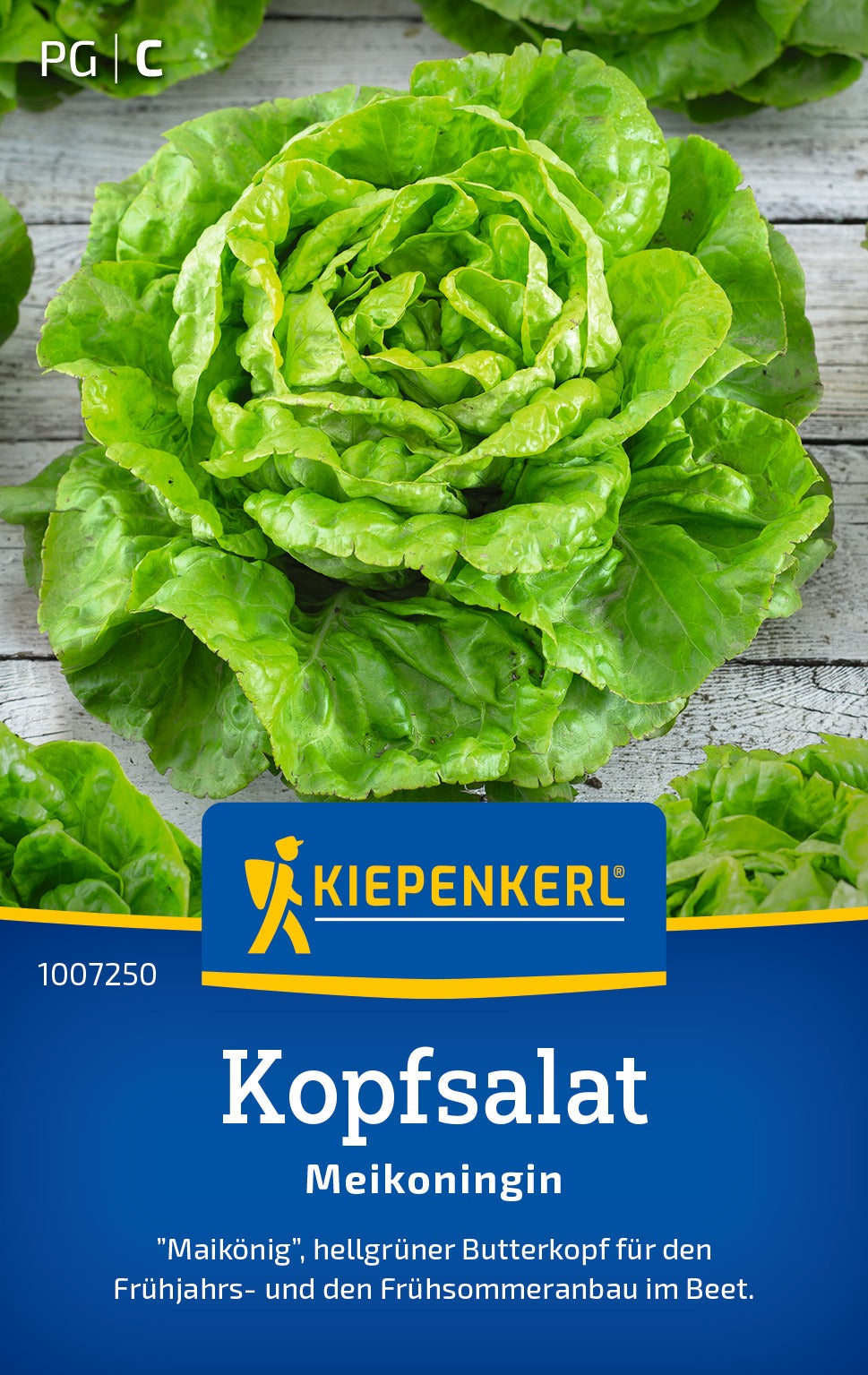 Kiepenkerl Kopfsalat Meikoningin
