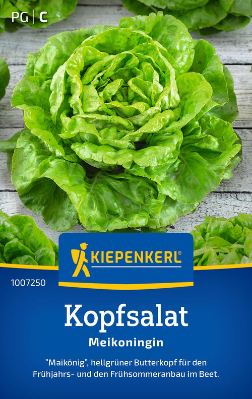 Kiepenkerl Kopfsalat Meikoningin