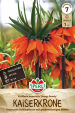 Kaiserkrone Orange Beauty