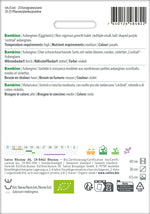 Sativa Aubergine Bambino
