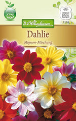 N.L. Chrestensen Dahlia Mignon-Mischung