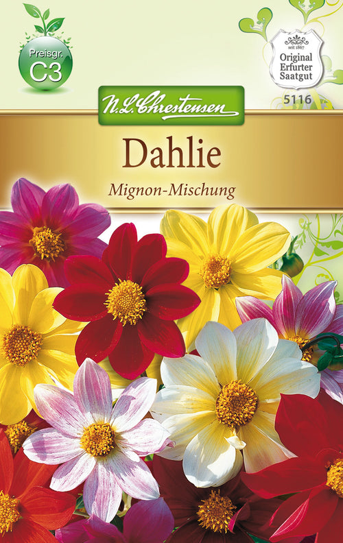 N.L. Chrestensen Dahlia Mignon-Mischung