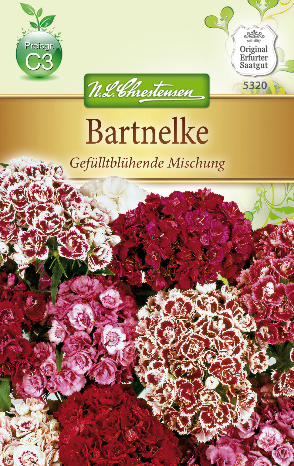 N.L. Chrestensen Bartnelke Gefülltblühende Mischung