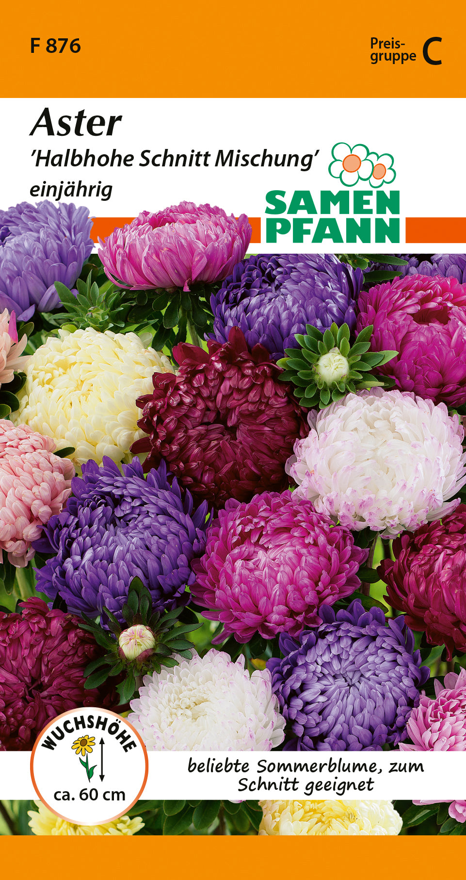 Bunte einjährige Aster Mischung, Schnittblume, Sommerblume, Saatgut für Garten, 60 cm hoch