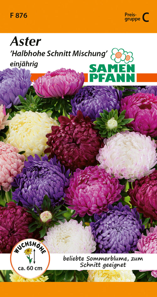 Bunte einjährige Aster Mischung, Schnittblume, Sommerblume, Saatgut für Garten, 60 cm hoch